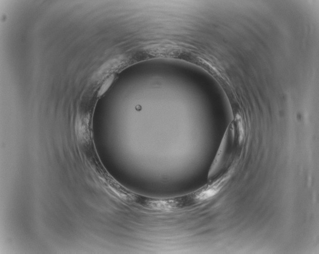 X0000059810239200510211124