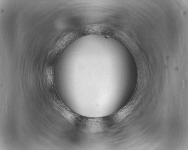 X0000059810240200510211124