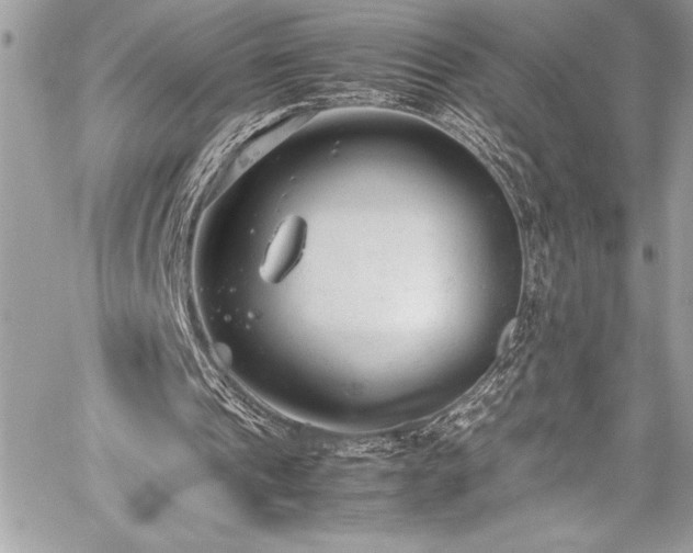 X0000059810241200510211124