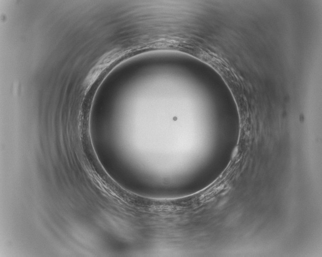 X0000059810242200510211124