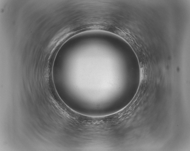 X0000059810243200510211124