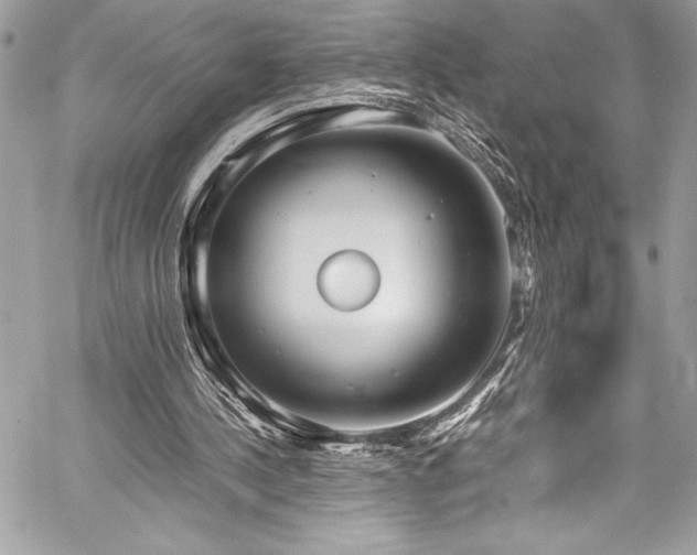 X0000059810244200510211124