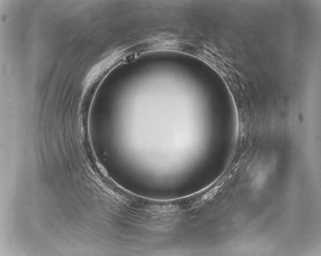 X0000059810245200510211124