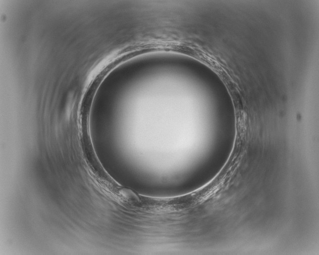 X0000059810246200510211124