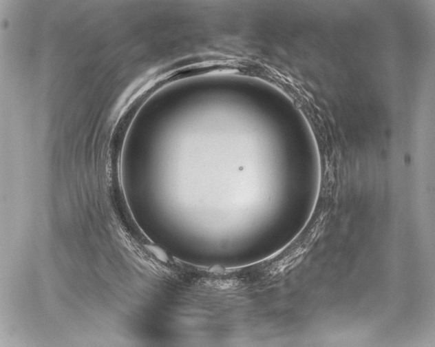 X0000059810247200510211124