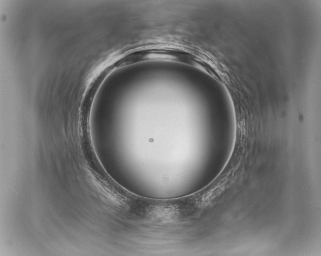 X0000059810248200510211124