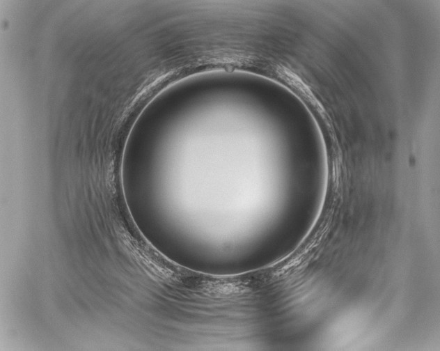 X0000059810249200510211124