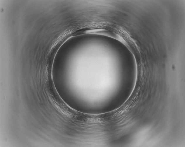 X0000059810250200510211124