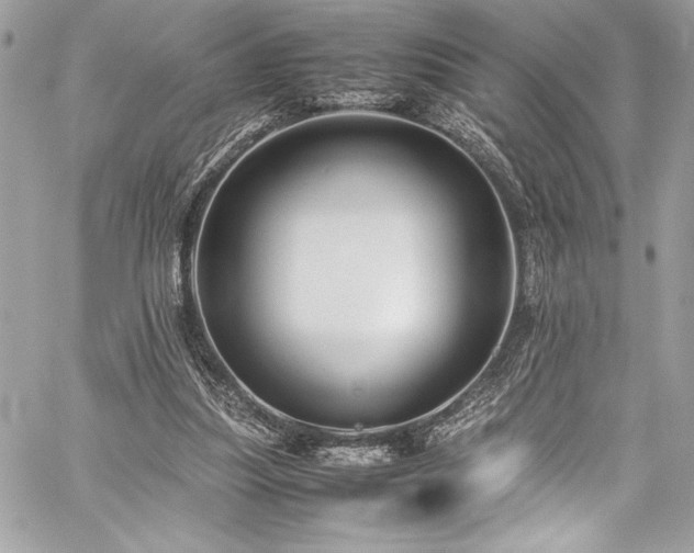 X0000059810251200510211124