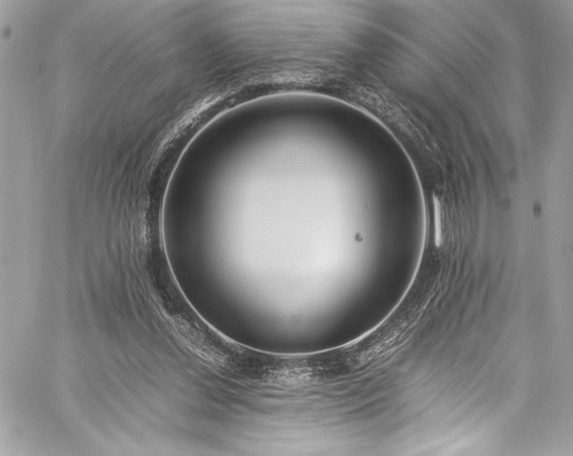 X0000059810252200510211124