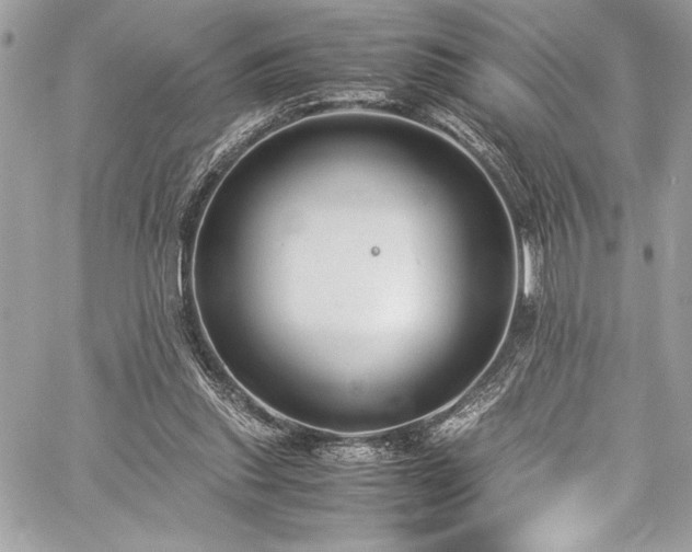 X0000059810253200510211124