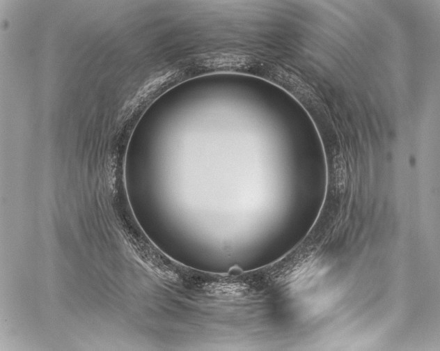 X0000059810255200510211124