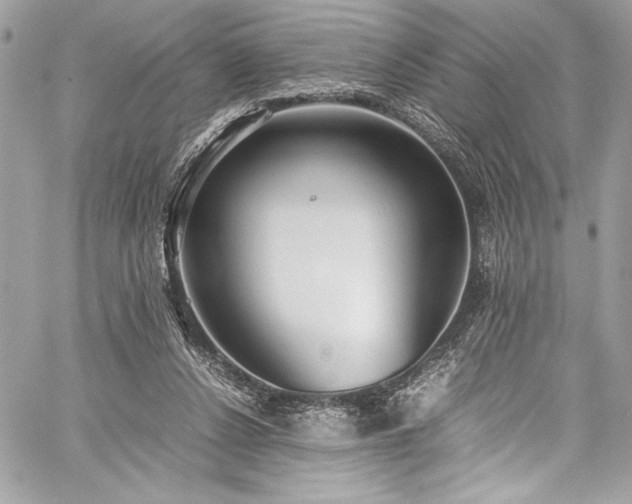 X0000059810256200510211124