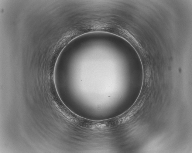 X0000059810257200510211124