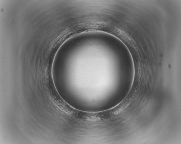 X0000059810258200510211124