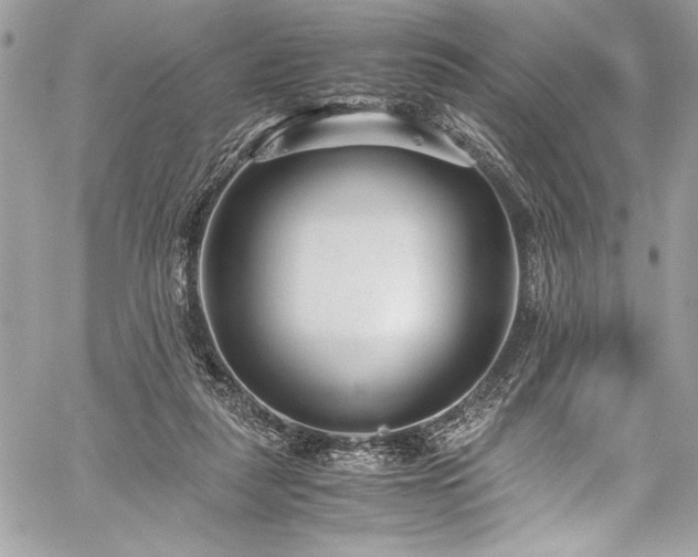 X0000059810259200510211124