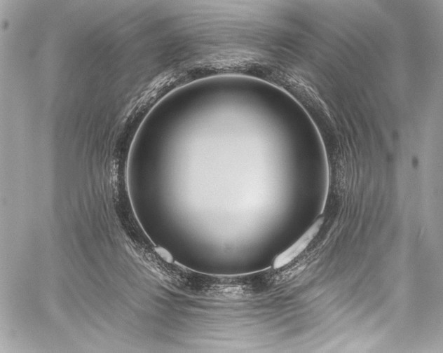 X0000059810260200510211124