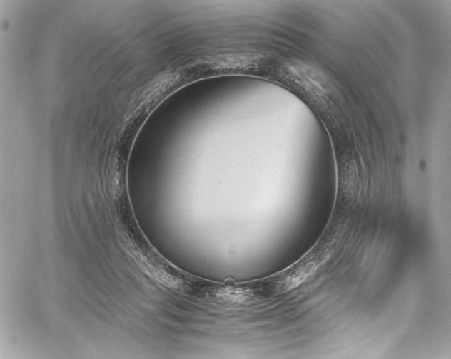 X0000059810261200510211124