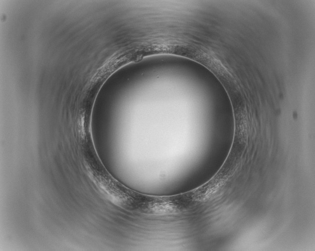 X0000059810262200510211124