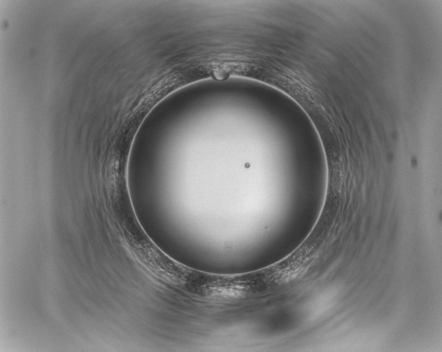 X0000059810263200510211124