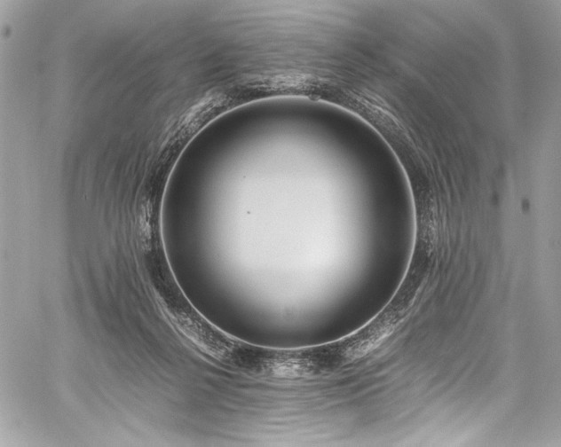 X0000059810264200510211124