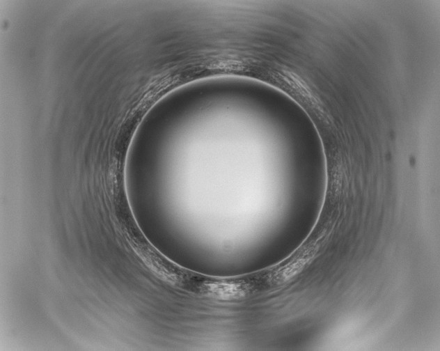 X0000059810265200510211124