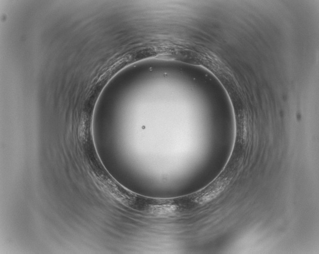 X0000059810266200510211124