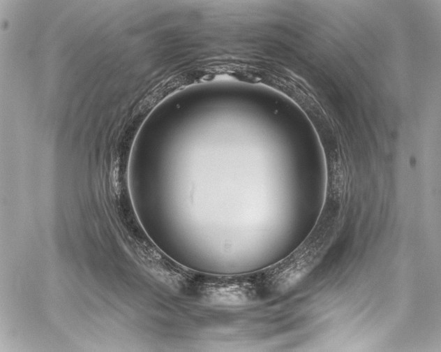 X0000059810267200510211124