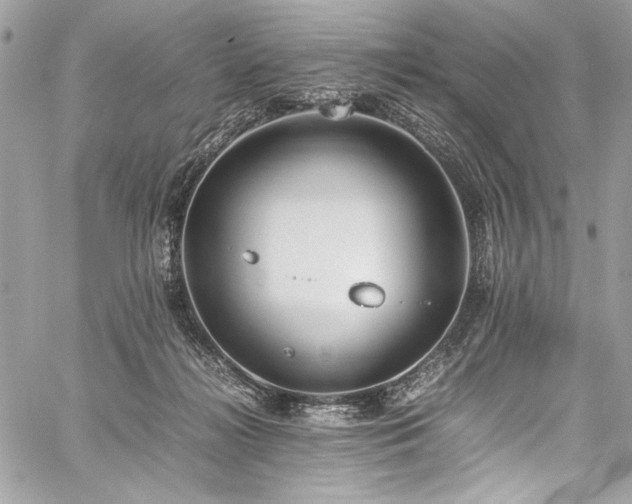 X0000059810268200510211124