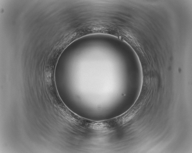 X0000059810269200510211124