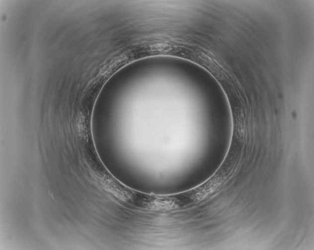 X0000059810270200510211124