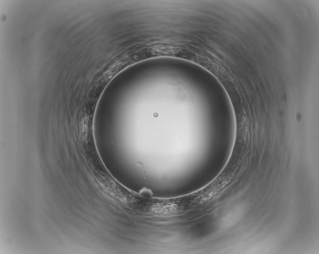 X0000059810271200510211124