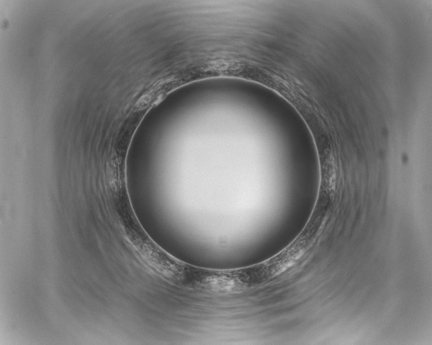 X0000059810272200510211124