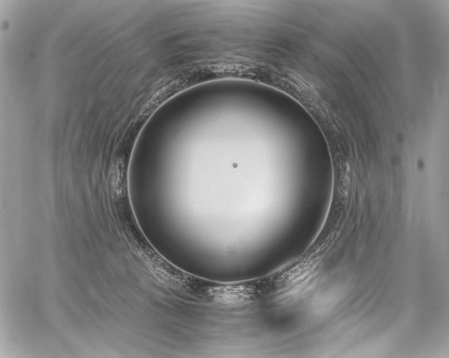 X0000059810273200510211124