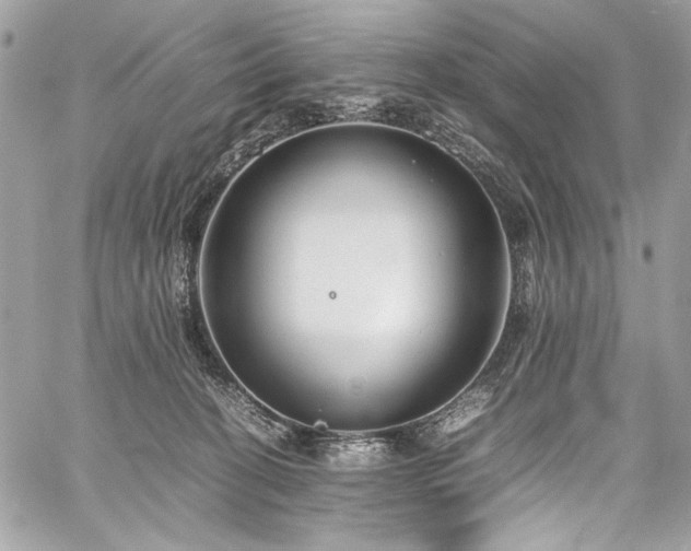 X0000059810274200510211124