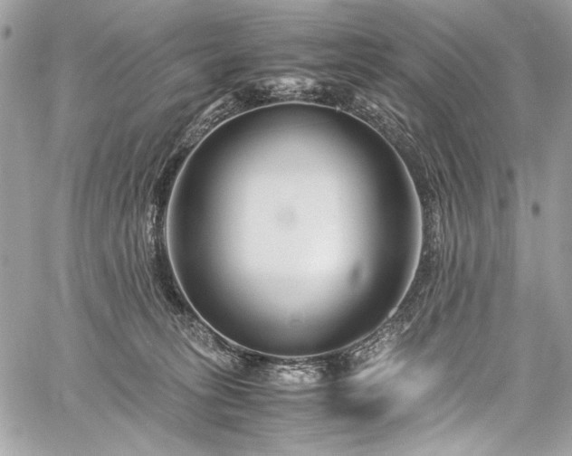 X0000059810275200510211124