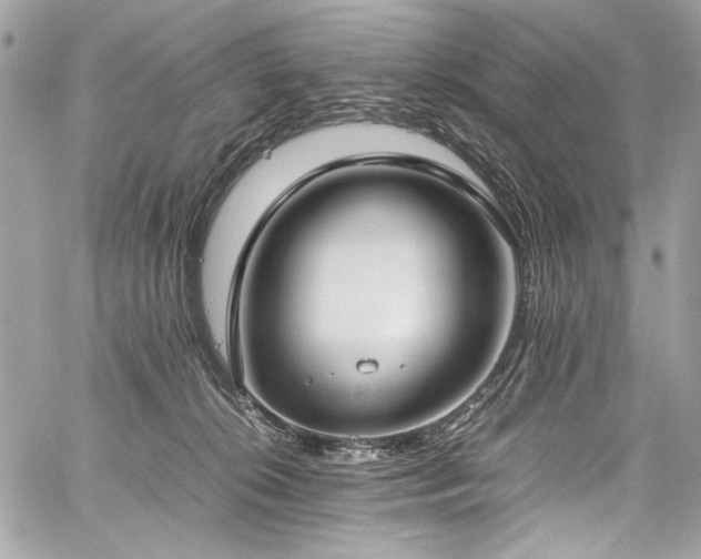 X0000059810276200510211124