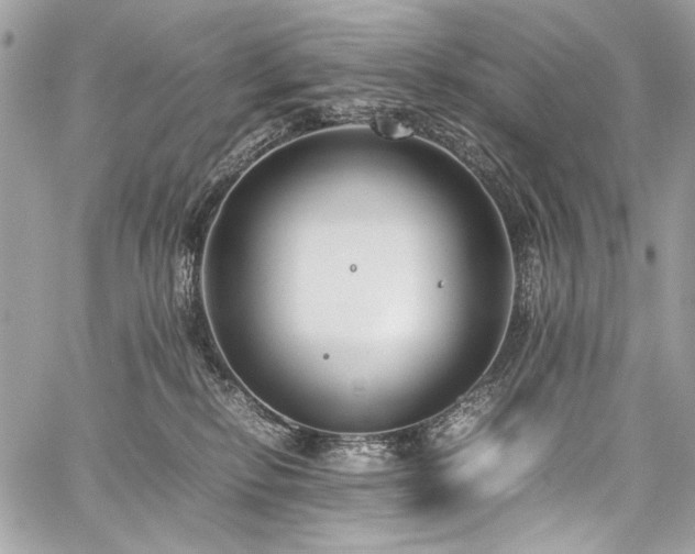 X0000059810278200510211124