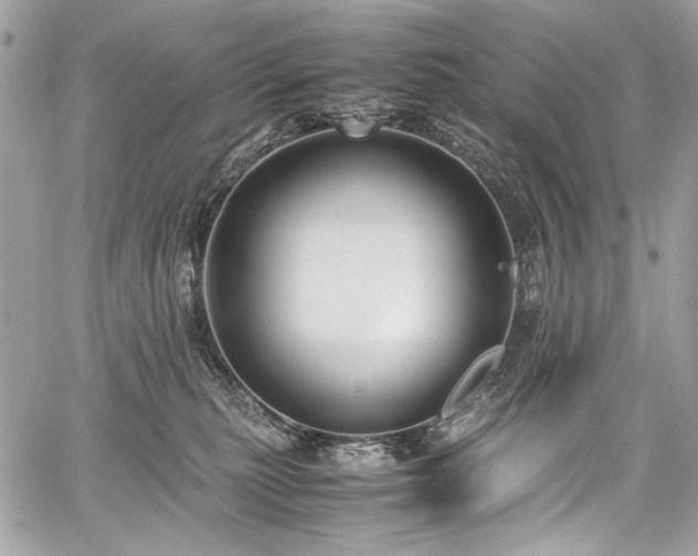 X0000059810279200510211124