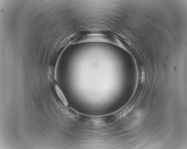 X0000059810280200510211124