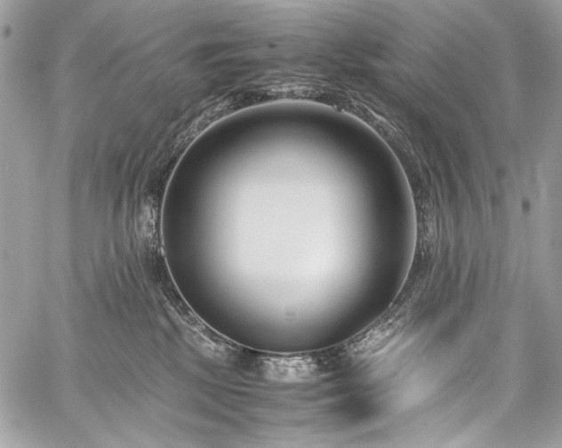 X0000059810281200510211124