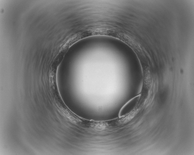 X0000059810282200510211124