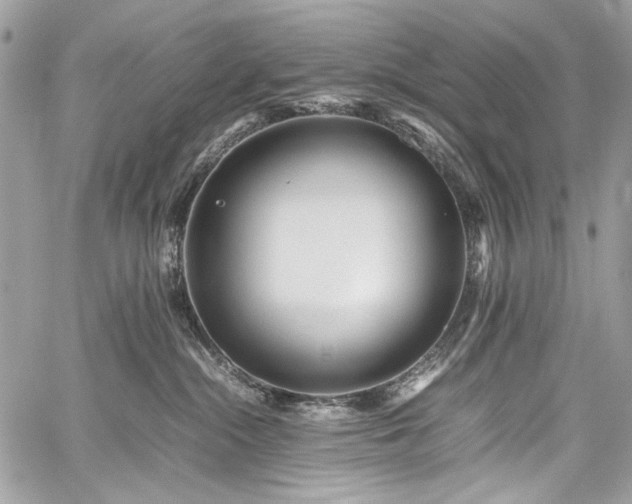 X0000059810284200510211124