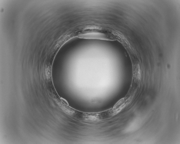 X0000059810285200510211124