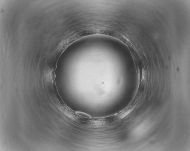 X0000059810286200510211124