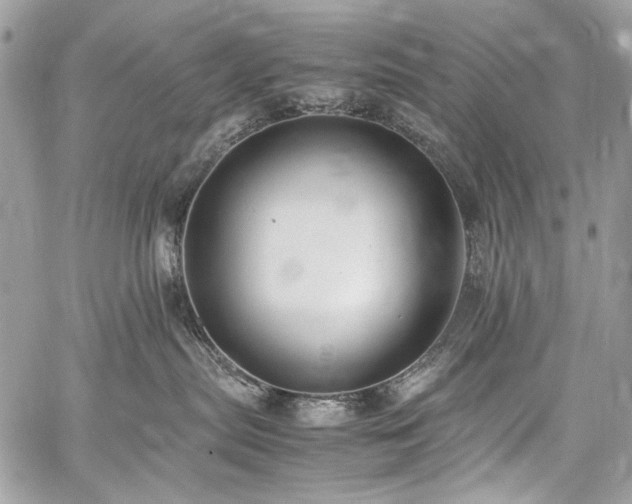 X0000059810287200510211124