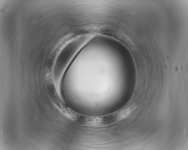 X0000059810288200510211124