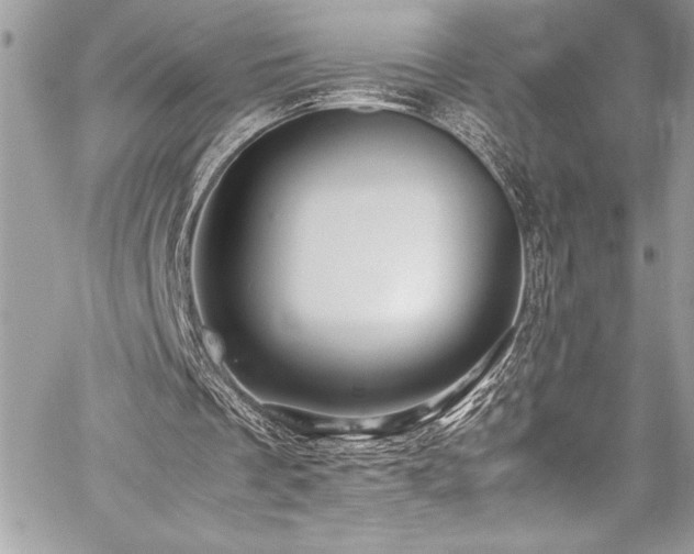 X0000059810289200510211124