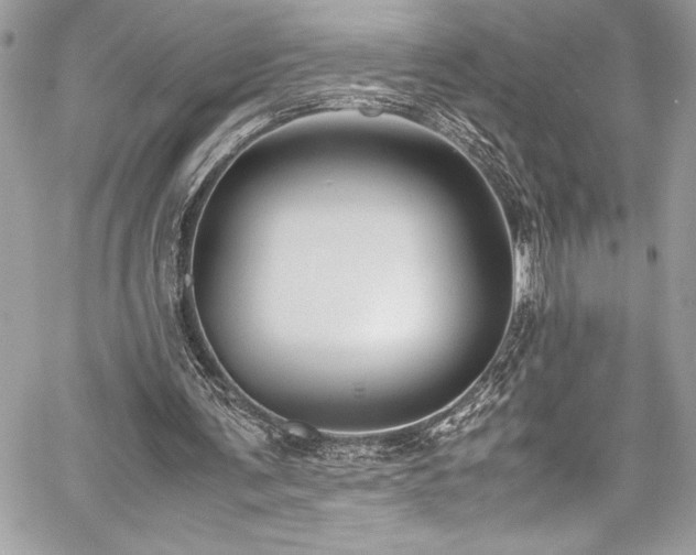 X0000059810291200510211124