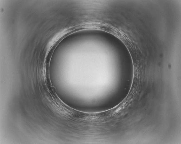 X0000059810294200510211124